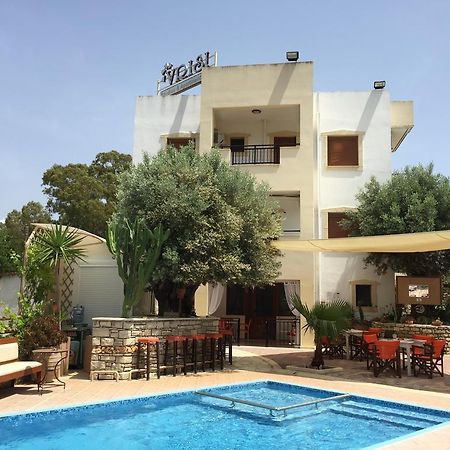 Vrisi Apartments & Villa Pitsidia Luaran gambar
