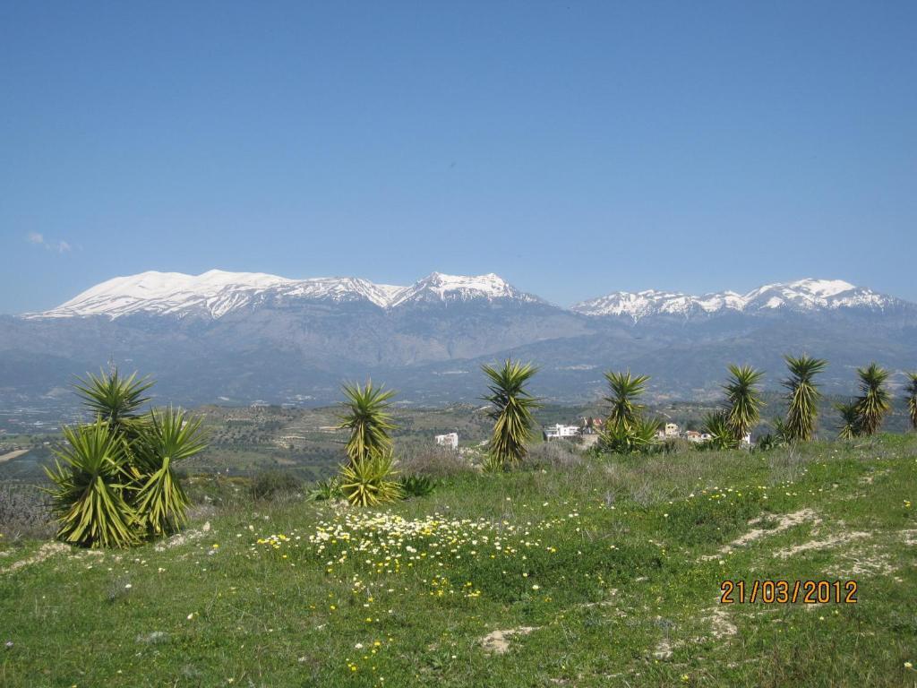 Vrisi Apartments & Villa Pitsidia Luaran gambar